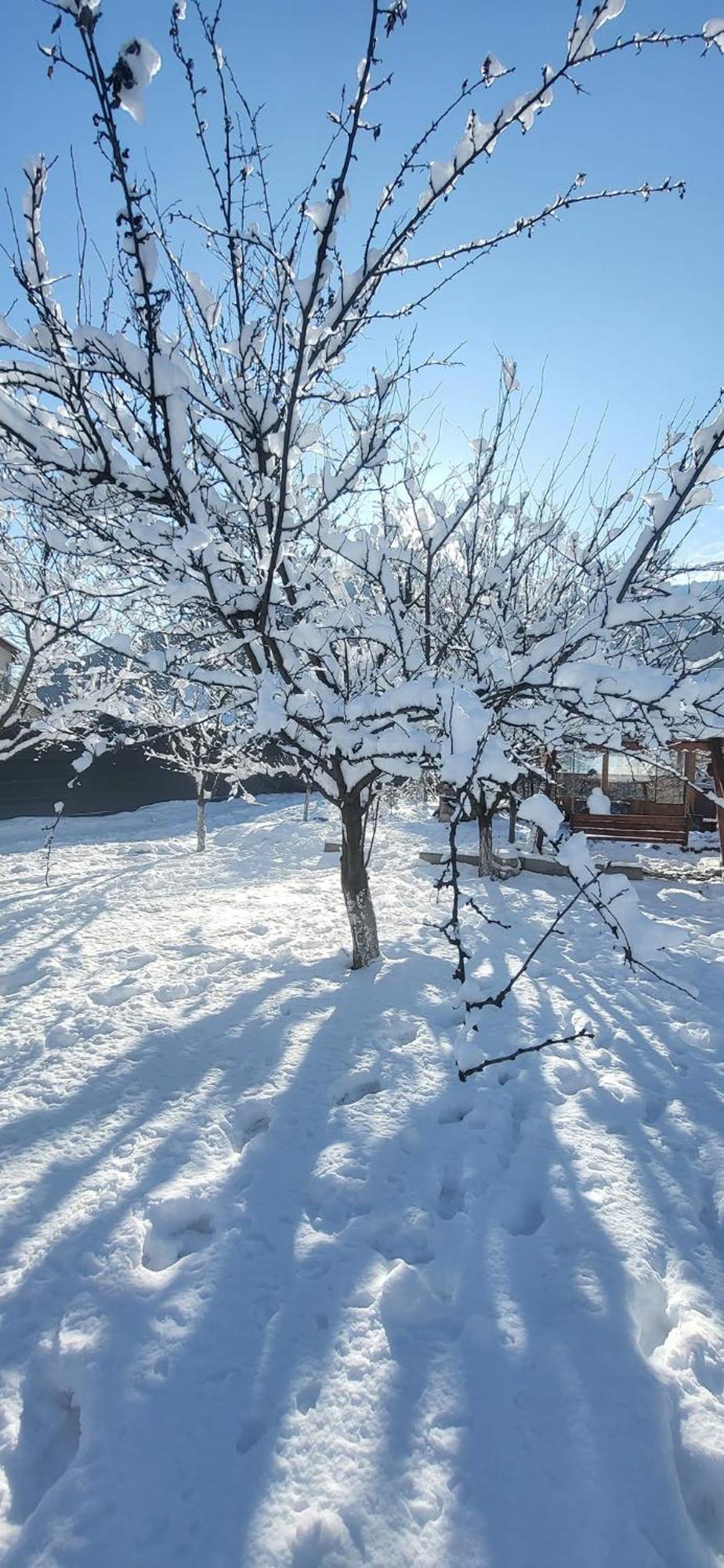 Casa Carbunaru Тыргу-Окна Экстерьер фото